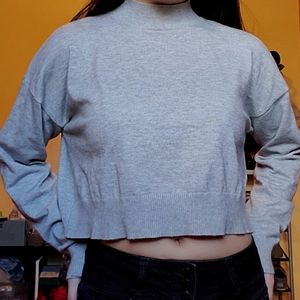 Gray Cropped Sweater